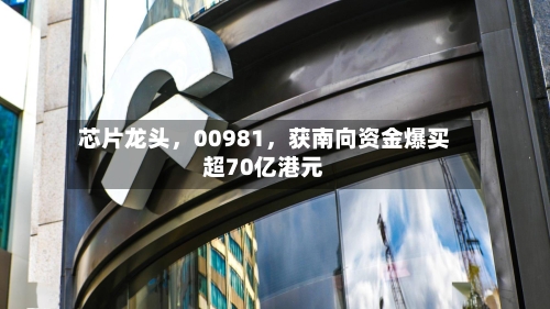 芯片龙头，00981	，获南向资金爆买超70亿港元-第3张图片
