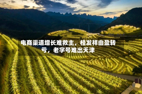 电商渠道增长难救主，桂发祥由盈转亏，老字号难出天津-第2张图片
