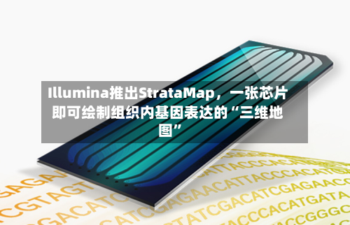 Illumina推出StrataMap，一张芯片即可绘制组织内基因表达的“三维地图”-第3张图片