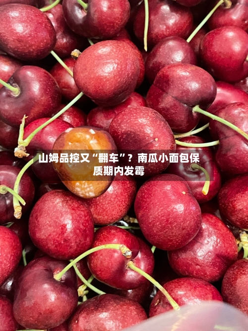 山姆品控又“翻车”？南瓜小面包保质期内发霉-第3张图片