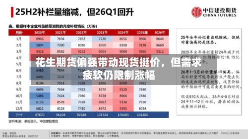 花生期货偏强带动现货挺价，但需求疲软仍限制涨幅