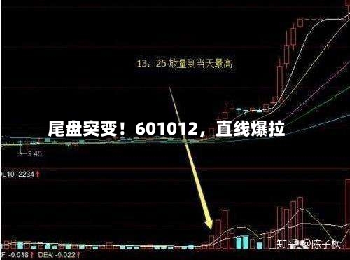 尾盘突变！601012	，直线爆拉-第3张图片