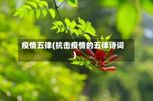 疫情五律(抗击疫情的五律诗词)
