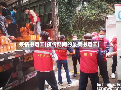 疫情搬运工(疫情期间的最美搬运工)-第3张图片
