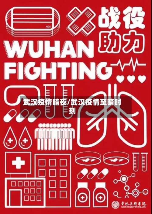 武汉疫情暗夜/武汉疫情至暗时刻