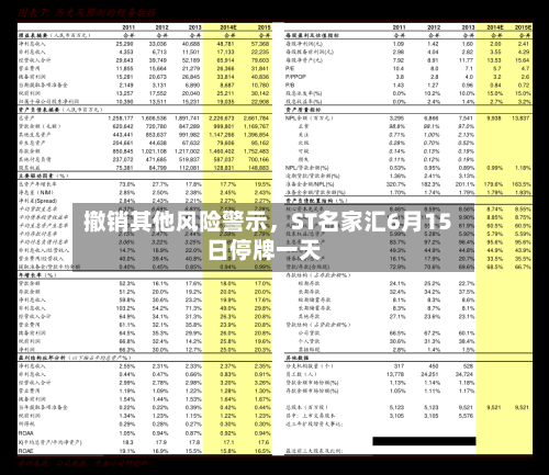 撤销其他风险警示，ST名家汇6月15日停牌一天-第3张图片