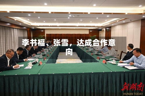 李书福	、张雪	，达成合作意向-第2张图片