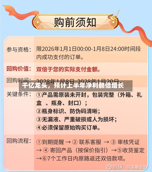 千亿龙头，预计上半年净利翻倍增长-第3张图片