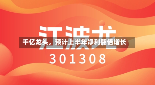 千亿龙头，预计上半年净利翻倍增长-第2张图片