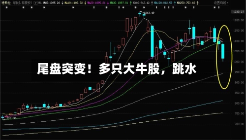 尾盘突变！多只大牛股，跳水-第2张图片