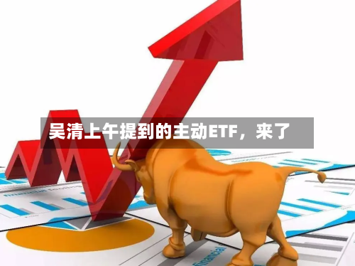 吴清上午提到的主动ETF	，来了-第2张图片