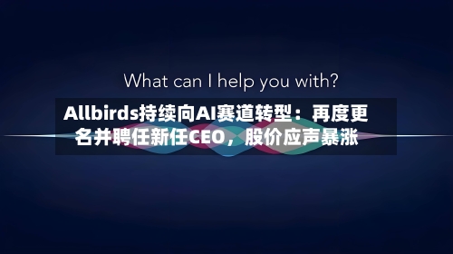 Allbirds持续向AI赛道转型：再度更名并聘任新任CEO，股价应声暴涨-第2张图片