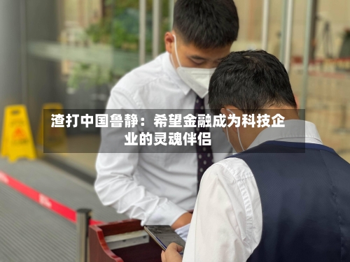 渣打中国鲁静：希望金融成为科技企业的灵魂伴侣-第2张图片