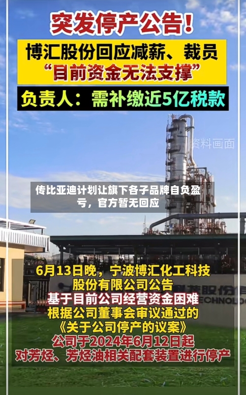 传比亚迪计划让旗下各子品牌自负盈亏	，官方暂无回应-第2张图片