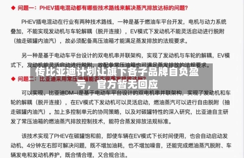 传比亚迪计划让旗下各子品牌自负盈亏，官方暂无回应-第3张图片