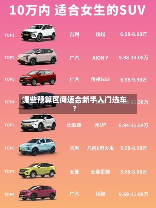 哪些预算区间适合新手入门选车？-第2张图片