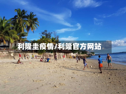 利隆圭疫情/利隆官方网站-第3张图片