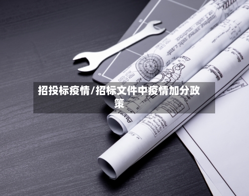 招投标疫情/招标文件中疫情加分政策-第3张图片