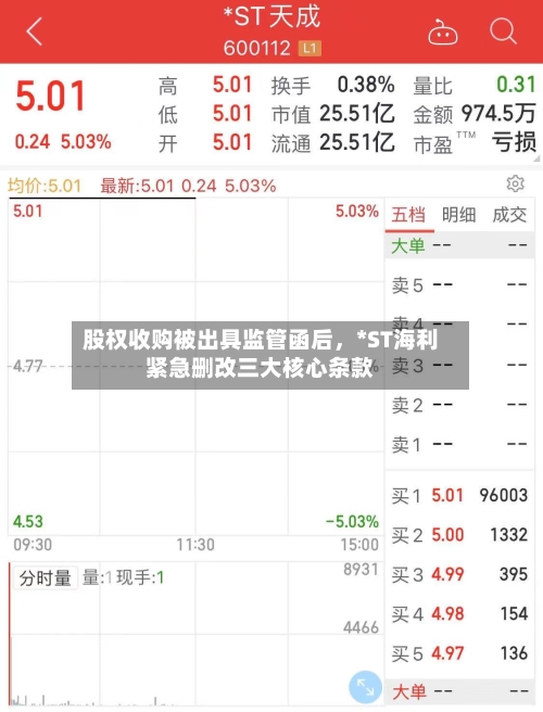 股权收购被出具监管函后，*ST海利紧急删改三大核心条款-第3张图片