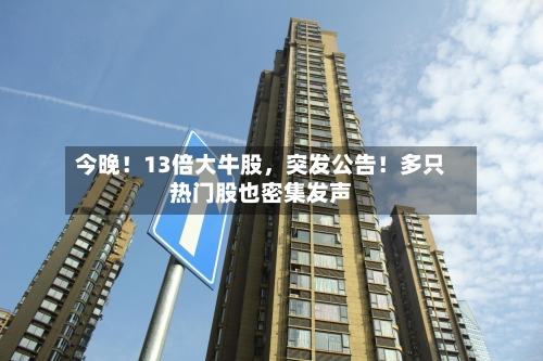 今晚！13倍大牛股，突发公告！多只热门股也密集发声-第3张图片