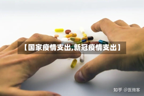 【国家疫情支出,新冠疫情支出】