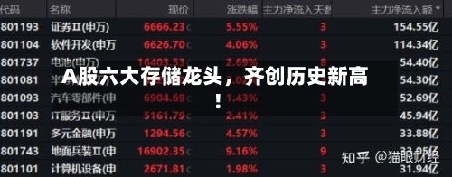 A股六大存储龙头	，齐创历史新高！-第3张图片