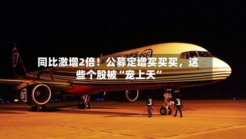 同比激增2倍！公募定增买买买，这些个股被“宠上天”-第3张图片