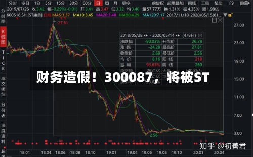财务造假！300087，将被ST-第2张图片