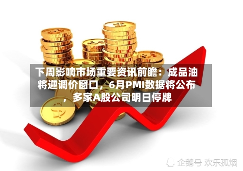 下周影响市场重要资讯前瞻：成品油将迎调价窗口，6月PMI数据将公布，多家A股公司明日停牌-第3张图片