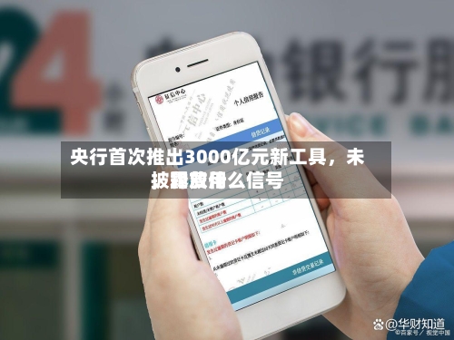央行首次推出3000亿元新工具，未披露费用，释放什么信号-第2张图片