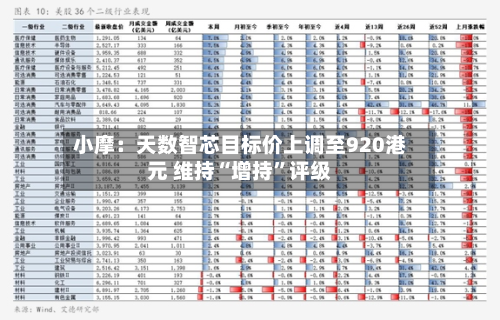 小摩：天数智芯目标价上调至920港元 维持“增持”评级-第2张图片