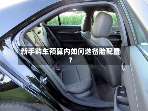 新手购车预算内如何选备胎配置？-第3张图片