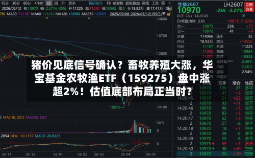 猪价见底信号确认？畜牧养殖大涨	，华宝基金农牧渔ETF（159275）盘中涨超2%！估值底部布局正当时？-第2张图片
