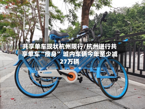 共享单车现状杭州限行/杭州进行共享单车“瘦身	” 城内车辆今年至少减27万辆-第2张图片