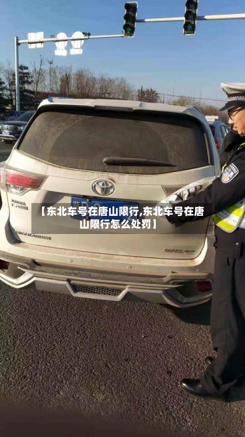 【东北车号在唐山限行,东北车号在唐山限行怎么处罚】-第3张图片