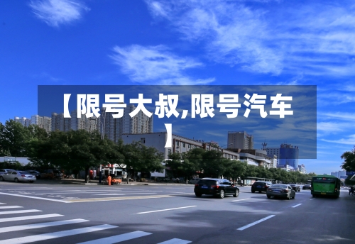 【限号大叔,限号汽车】-第2张图片
