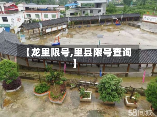 【龙里限号,里县限号查询】