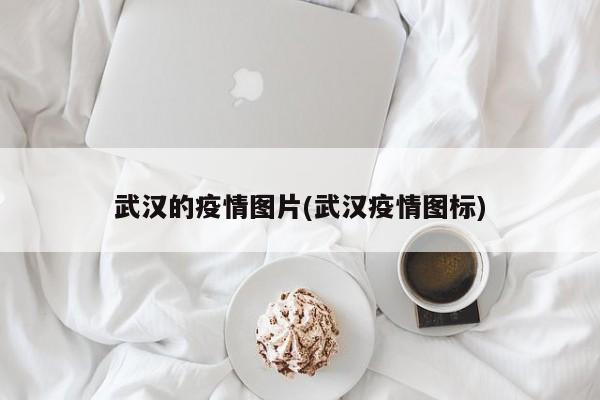 武汉的疫情图片(武汉疫情图标)