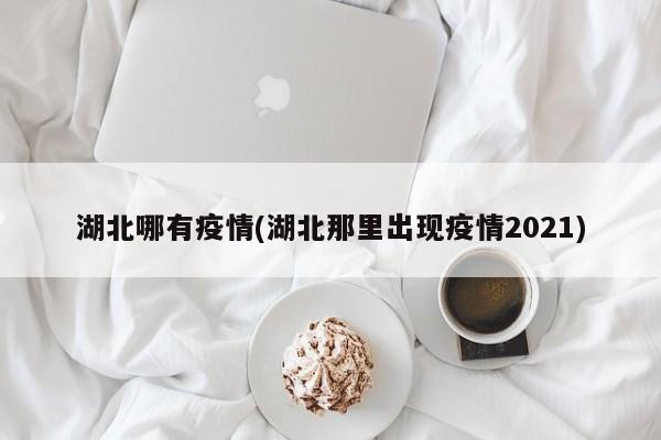 湖北哪有疫情(湖北那里出现疫情2021)