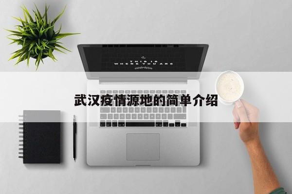 武汉疫情源地的简单介绍