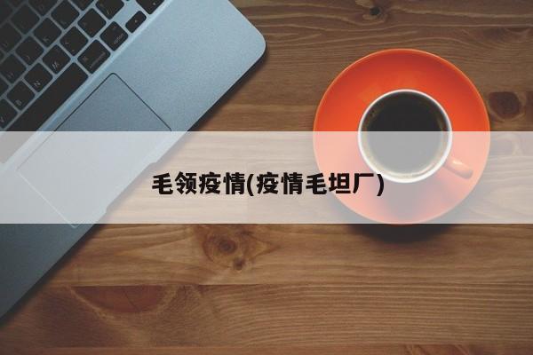 毛领疫情(疫情毛坦厂)