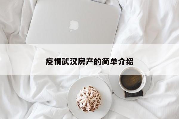 疫情武汉房产的简单介绍