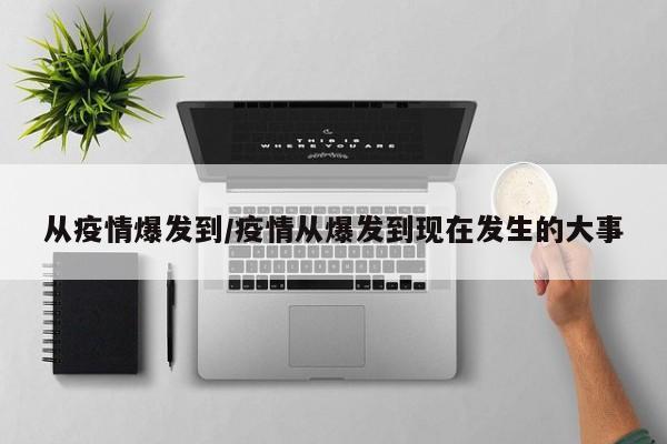 从疫情爆发到/疫情从爆发到现在发生的大事